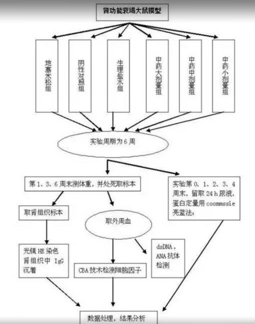 23个可编辑技术路线图模板与绘制技巧 含国自然九大热点领域应用指南